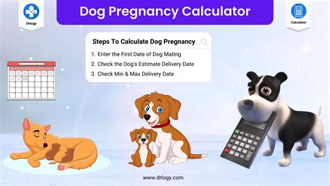 Dog Pregnancy Calculator: Calculate your Puppy Due Date